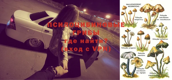 mix Абаза