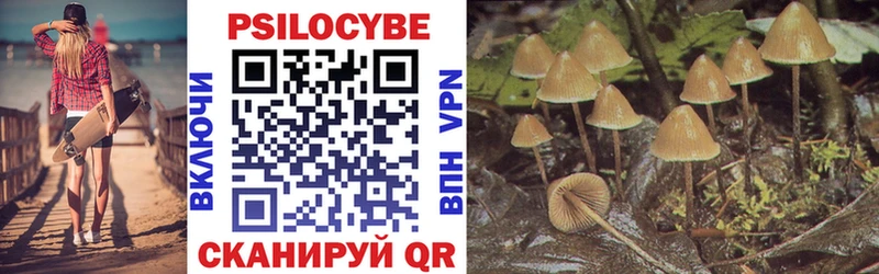 Галлюциногенные грибы мухоморы  blacksprut онион  Грозный 