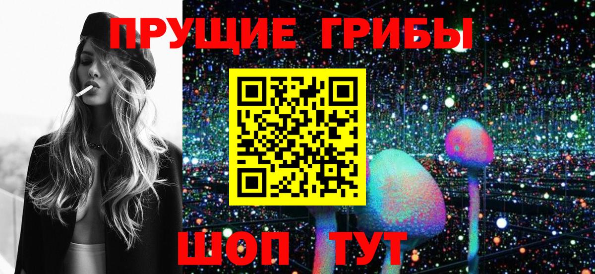 Псилоцибиновые грибы Magic Shrooms  Вход с VPN  Грозный 